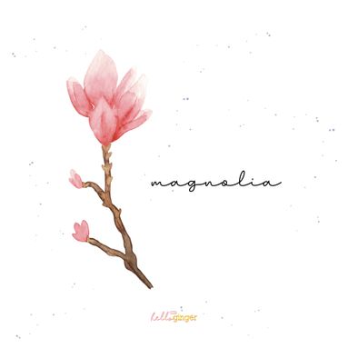 HG_dackel_magnolie2